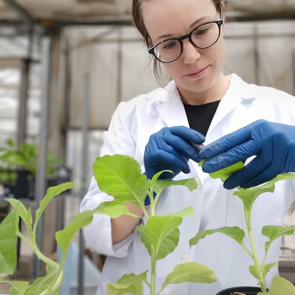 Prof. Dr. Nataša Štajner