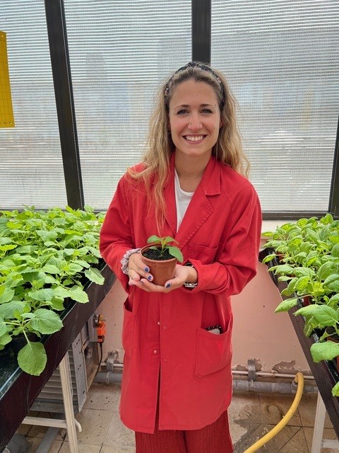 Prof. Dr. Nataša Štajner